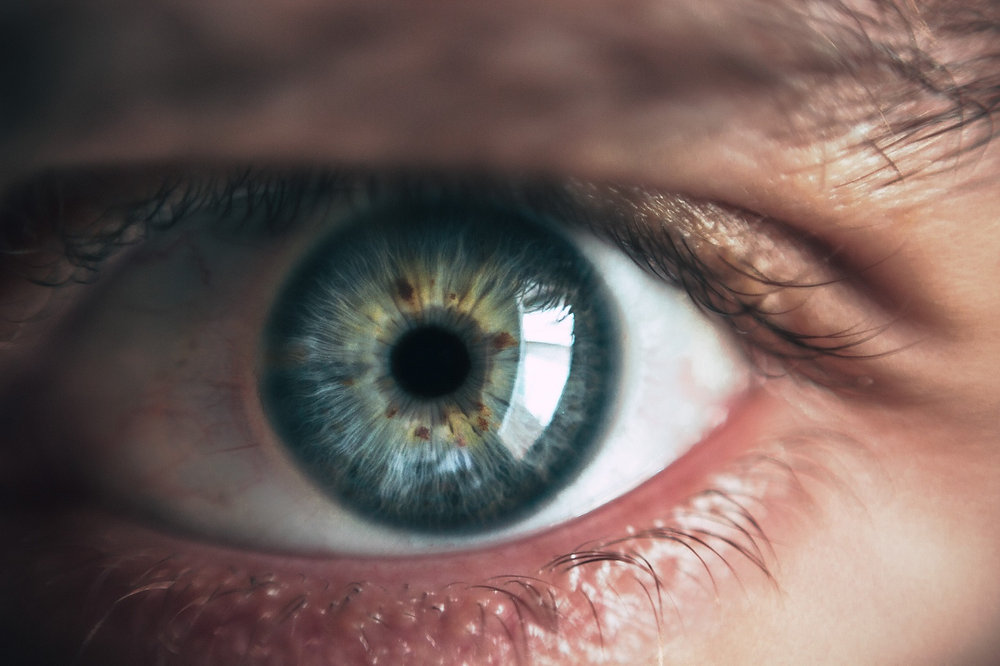 Terapia Ocular Neuromotora